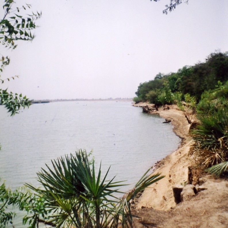 	Mayo-Kebbi Est	